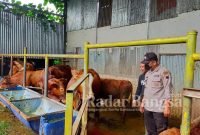 Polres Banjarnegara dan Dinas Terkait melakukan pengecekan ketempat peternakan sapi penduduk, pasar hewan dan tempat penyembelihan sapi
Rabu (11/5/2022).