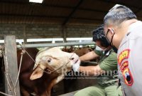 Kapolres Demak AKBP Budi Adhy Buono melakukan pemantauan di peternakan milik masyarakat 