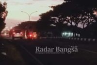 Lampu PJU di Jalan Lamongan - Babat yang sudah lama padam (IST)