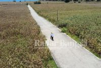 Dua petugas PLN saat dilapangan (IST)