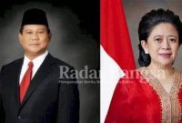 Prabowo-Puan ( Dok Foto : IST)