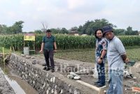 Mas Pipin (berbaju batik) terjun langsung ke lokasi padat karya pembangunan irigasi di Dusun Krajan Kidul