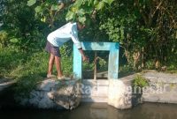 Satimun, Ulu Ulu Banyu (Tuwowo) Saat Mengecek Pintu Air Saluran Irigasi yang Ditutup (Dok Foto Riyaman/RadarBangsa)