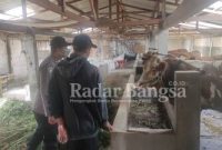 Bhabinkamtibmas Desa Oro-oro Ombo Sambang ke  Peternak  (IST)
