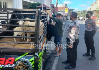 Polres Batu memperketat pengawasan lalu lintas ternak (Dok Foto IST)