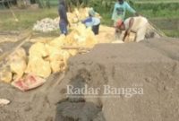 Pekerja yang mengunakan diduga pasir lempung (Dok Foto Yudi)