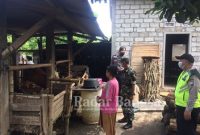 Jajaran anggota Polsek Kasembon bersama anggota Koramil Kasembon melaksanakan kegiatan Patroli Dialogis ke pemilik Ternak Sapi Perah pada hari Selasa (14/7/2022) (Dok Foto IST)