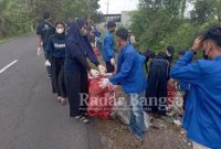 PMII UNISDA dalam memperingati Hari lingkungan hidup (HLH) sedunia, dengan aksi nyata membersikan sampah plastik di jalan poros Kecamatan Pucuk - Kecamatan Brondong. Minggu (05/06). (Dok Foto IST)