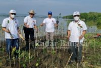 Universitas Semarang (USM) berkerjasama dengan Djarum Foundation menggelar penanaman 3.000 bibit Pohon Mangrove , dalam rangka Lustrum ke 7 atau Dies Natalies USM yang ke 35 dan Hari Lingkungan Hidup Sedunia, pada Minggu 5 Juni 2022, di Kelurahan Manguharjo (Dok Foto IST)