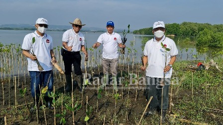 Universitas Semarang (USM) berkerjasama dengan Djarum Foundation menggelar penanaman 3.000 bibit Pohon Mangrove , dalam rangka Lustrum ke 7 atau Dies Natalies USM yang ke 35 dan Hari Lingkungan Hidup Sedunia, pada Minggu 5 Juni 2022, di Kelurahan Manguharjo (Dok Foto IST)