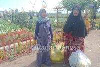 Satupah (50) warga desa Kedungrejo, saat berbelanja sayuran di kegiatan Gerbas Tani (Riyaman/RadarBangsa.co.id)