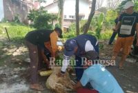  Saat Pelaksanaan Penyembelihan Hewan qurban (Dok Foto Riyaman)