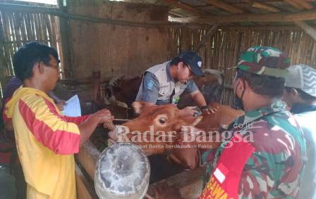  Serda Romelan Saat Mendampingi Tim Pertanian dan Peternakan (Dok Foto Riyaman)