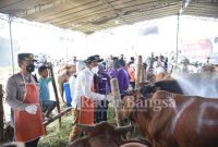 Wakil Bupati Sidoarjo H. Subandi SH serta Kapolresta Sidoarjo Kombes Pol. Kusumo Wahyu Bintoro dan Dandim 0816 Sidoarjo Letkol Inf. Masarum Djatilaksono sidak lapak pejual hewan kurban (Dok Foto IST)