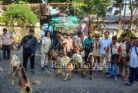 Tim Rahmat Muhajirin saat memberikan Kambing Qurban (Dok Foto Pribadi )