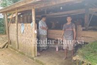 Lokasi peternak Sapi di Kabupaten Sumenep (Dok Foto  : Surah)