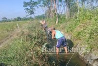 Petani dan Pembayon bergotong royong bersihkan irigasi