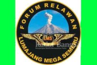 Logo LMS 