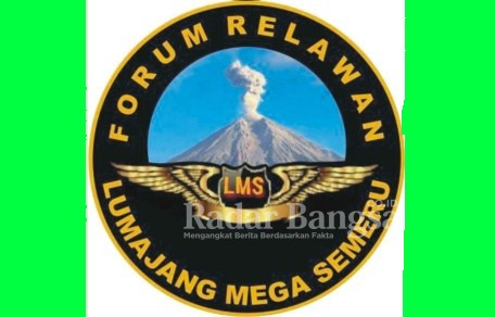 Logo LMS 