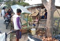 Dok Foto Grobak Pedagang Es Kelapa (Casmadi RadarBangsa)