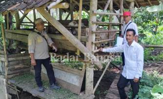 Tim Monitoring dan Evaluasi serta Pembinaan dari Kecamatan Cidaun sedang melakukan cros cek kegiatan ketahanan pangan dan hewani pada kandang domba di desa Karyabakti. (Dok photo AE Nasution/RadarBangsa.co.id)