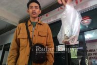 Anak ular cobra yang berhasil di tangkap oleh staf Rusunawa Lumajang (IST)