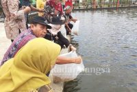 Saat penebaran bibit Ikan oleh Dinas Perikanan Kota Semarang (IST)