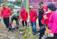 Saat  penanaman dan kerja bakti bersama bu Lurah Sofia kelurahan  Muktiharjo Kidul. Sabtu (28/01) (Dok foto Tirta)