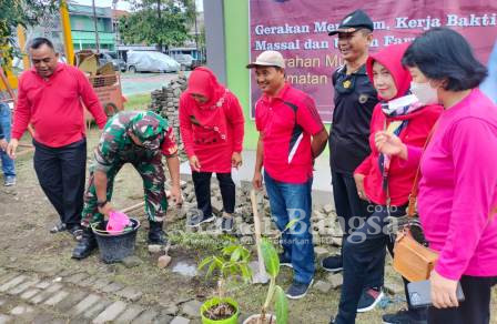 Saat  penanaman dan kerja bakti bersama bu Lurah Sofia kelurahan  Muktiharjo Kidul. Sabtu (28/01) (Dok foto Tirta)