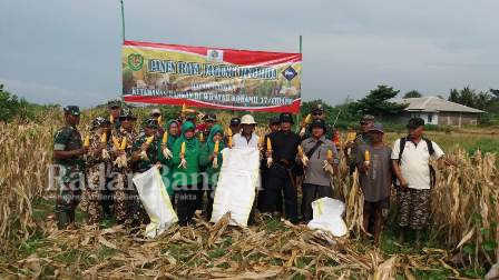 Photo bersama pada saat panen raya jagung hybrida di wilayah Koramil 0608 - 17/Cidaun. (Dok photo RadarBangsa.co.id/AE Nasution)