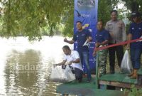 Bukit Asam Tebar Benih 11.000 Ikan di Sungai Enim (Dok foto PTBA for Usman/RB)