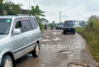 Kondisi jalan di disepanjang jalan Kecamatan Pulau Panggung, Tanggamus, Sabtu 28/02023.(Dok Anton)