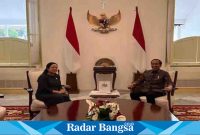  Ketua DPR RI, Puan Maharani bertemu dengan Presiden RI, Joko Widodo di Istana (Dok Satpers)