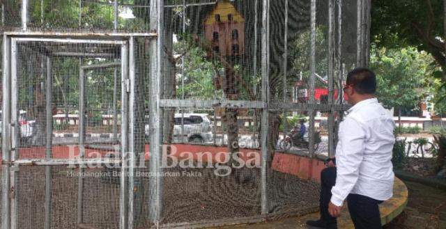 Kepala Dinas Lingkungan Hidup (DLH) Kabupaten Lamongan, Andhy Kurniawan saat melihat sangkar burung di alun- alun Lamongan, Rabu (7/3) (Dok foto RadarBangsa.co.id)