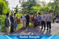 Sapi saat ditemukan di Dusun Ateran belakang Stadion Srikandi, tepatnya di Desa Tempeh Tengah, Kecamatan Tempeh, Selasa (21/3). (Dok Humas Polres Lumajang, for Riyaman).