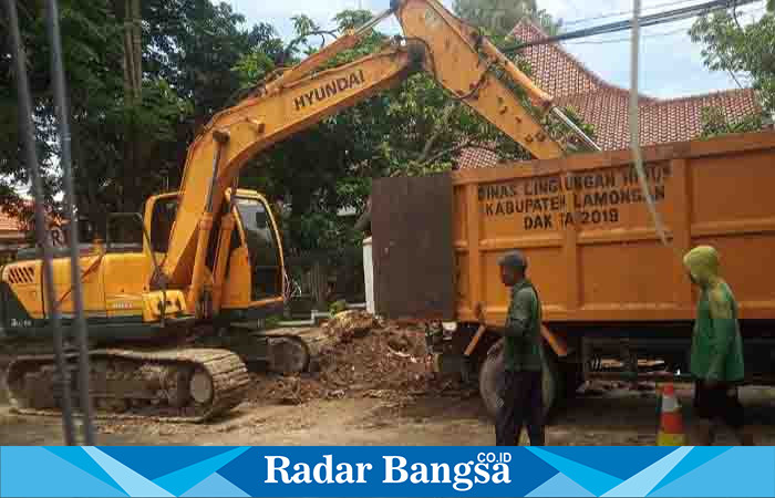 Saat Pembongkaran akar pohon yang menyumbat saluran air oleh Petugas Dinas Lingkungan Hidup Kabuoaten Lamongan (Dok Pribadi)