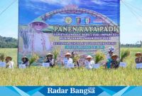 PJ Bupati Pringsewu Adi Erlansyah saat menghadiri Panen Raya Padi Varietas Unggul Baru (VUB) Inpari 32 Kelompok Tani Gemah Ripah di Pekon Sukorejo, Kecamatan Pardasuka, Rabu (05/04/23. (Dok.Humas/Darmawan/RB)