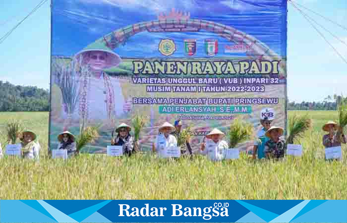 PJ Bupati Pringsewu Adi Erlansyah saat menghadiri Panen Raya Padi Varietas Unggul Baru (VUB) Inpari 32 Kelompok Tani Gemah Ripah di Pekon Sukorejo, Kecamatan Pardasuka, Rabu (05/04/23. (Dok.Humas/Darmawan/RB)