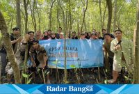 FH UNAIR adakan kegiatan tanam pohon bakau di Mangrove Wonorejo, Rungkut, Surabaya, pada Sabtu (6/5/23). (Dok foto Unair)