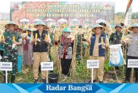 Bupati Lamongan Yuhronur Efendi saat melakukan panen raya jagung, Selasa (23/5) di lahan tidur wilayah Kodim 0812, Desa Tunggunjagir Kecamatan Mantup.
