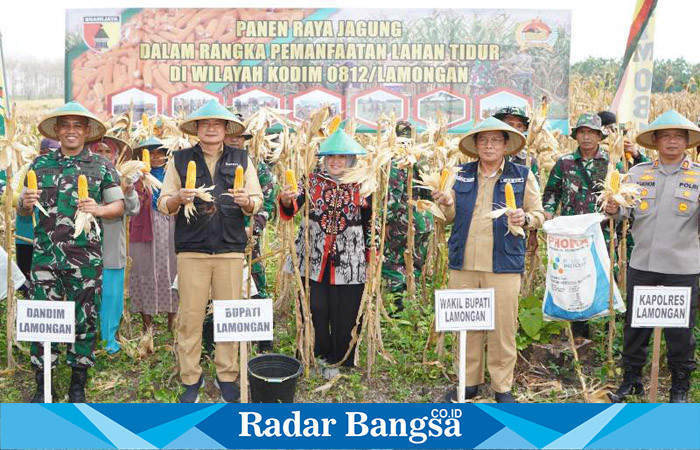 Bupati Lamongan Yuhronur Efendi saat melakukan panen raya jagung, Selasa (23/5) di lahan tidur wilayah Kodim 0812, Desa Tunggunjagir Kecamatan Mantup.
