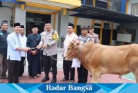 Kapolresta bagi hewan kurban,Rabu (28/6)di bumi sholawat (Foto : Rino Tutuko )