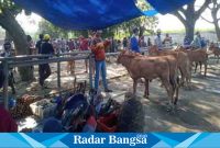  Suasana di pasar hewan patok Krai Lumajang. (Dok Riyaman/Radarbangsa.co.id)