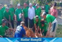 Pelaksanaan Penyembelihan Hewan Qurban di Halaman Masjid Asyi- syuhada Perumnas Tunjung (Dok foto Ruslan)