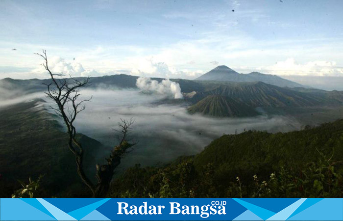  Vibes fenomena frozen di kawasan Gunung Bromo