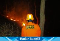 Kebakaran hutan dusun arak-arak, Sumber Canting Kecamatan Wringin Kabupaten Bondowoso dengan luas lahan sekitar 1(satu) Hektare.