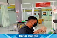  Nugroho (Suami pasien) saat menyuapi istrinya di ruang IGD RSUD dr. Haryoto Lumajang, Minggu (13/8). (Dok Riyaman/Radarbangsa.co.id)