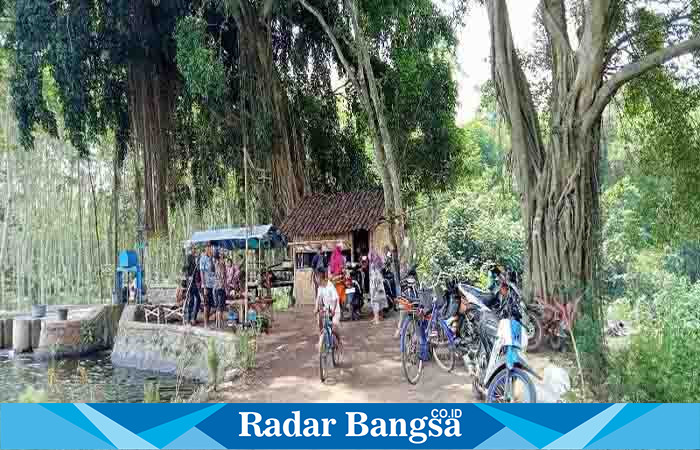  Potret Warung Tengah Tegalan, di dam Rowosumo, Dusun Darungan, Desa Wonokerto, Kecamatan Tekung, Kabupaten Lumajang, Minggu (6/8/2023). (Dok Riyaman/Radarbangsa.co.id)