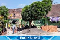 Proyek rehabilitasi ruang kelas SDN Sememu 01 Kecamatan Pasirian, Kabupaten Lumajang yang dikerjakan tanpa SPK dan Papan Nama, Selasa (10/10). (Dok Riyaman/Radarbangsa.co.id).