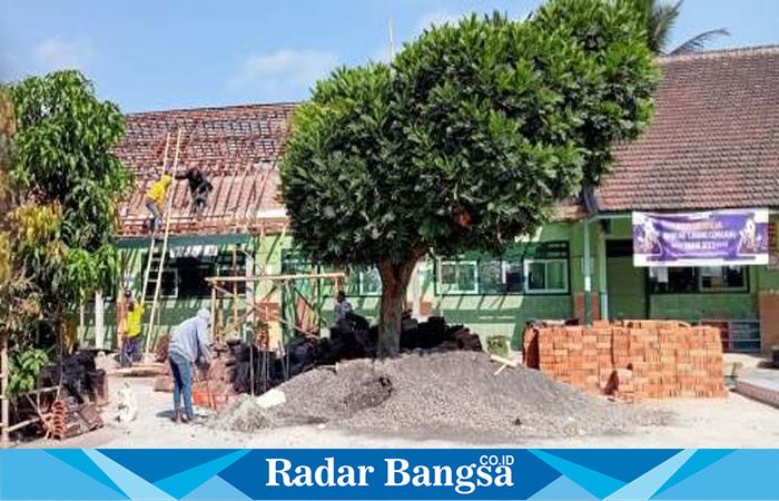 Proyek rehabilitasi ruang kelas SDN Sememu 01 Kecamatan Pasirian, Kabupaten Lumajang yang dikerjakan tanpa SPK dan Papan Nama, Selasa (10/10). (Dok Riyaman/Radarbangsa.co.id).